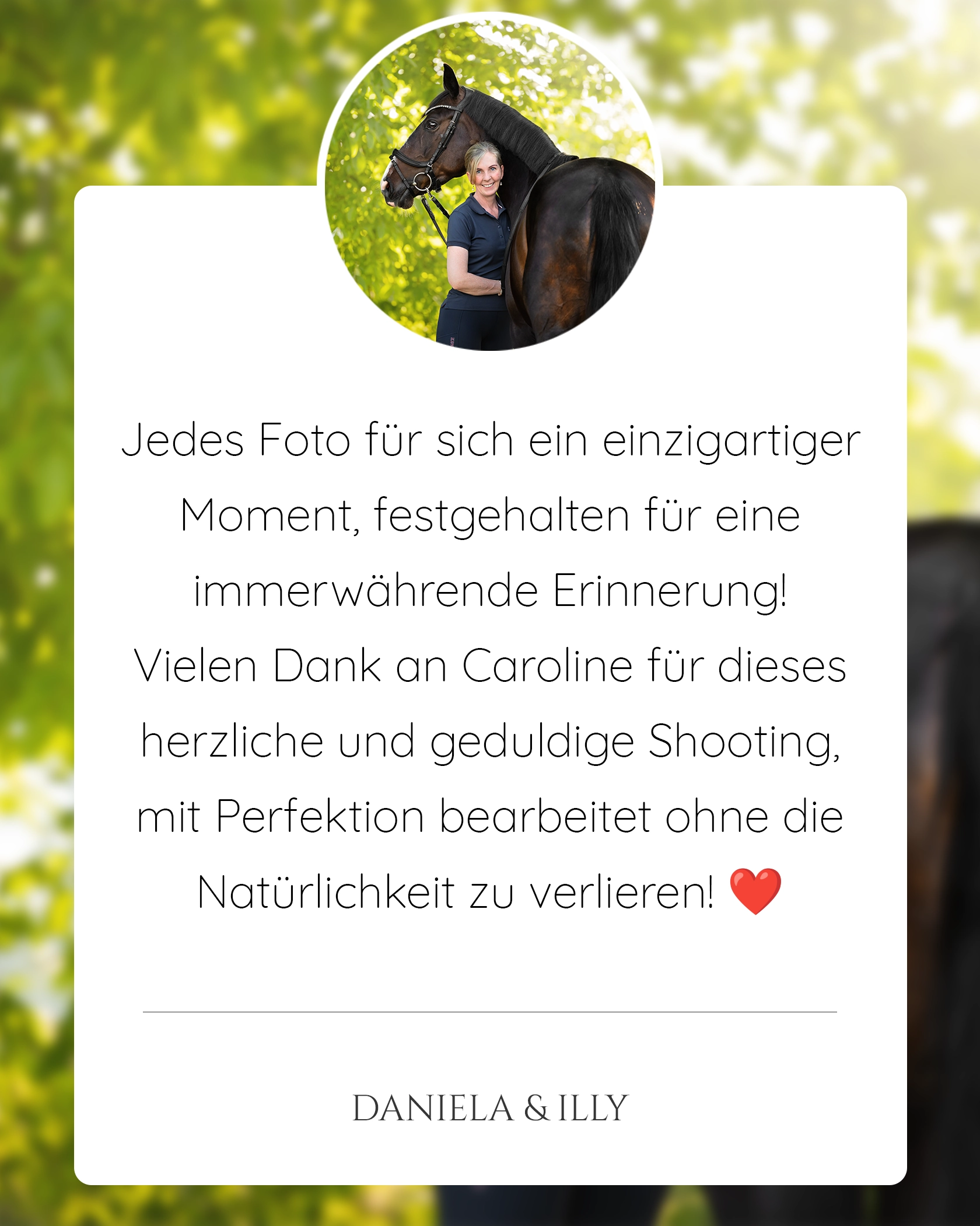 Pferdefotografie