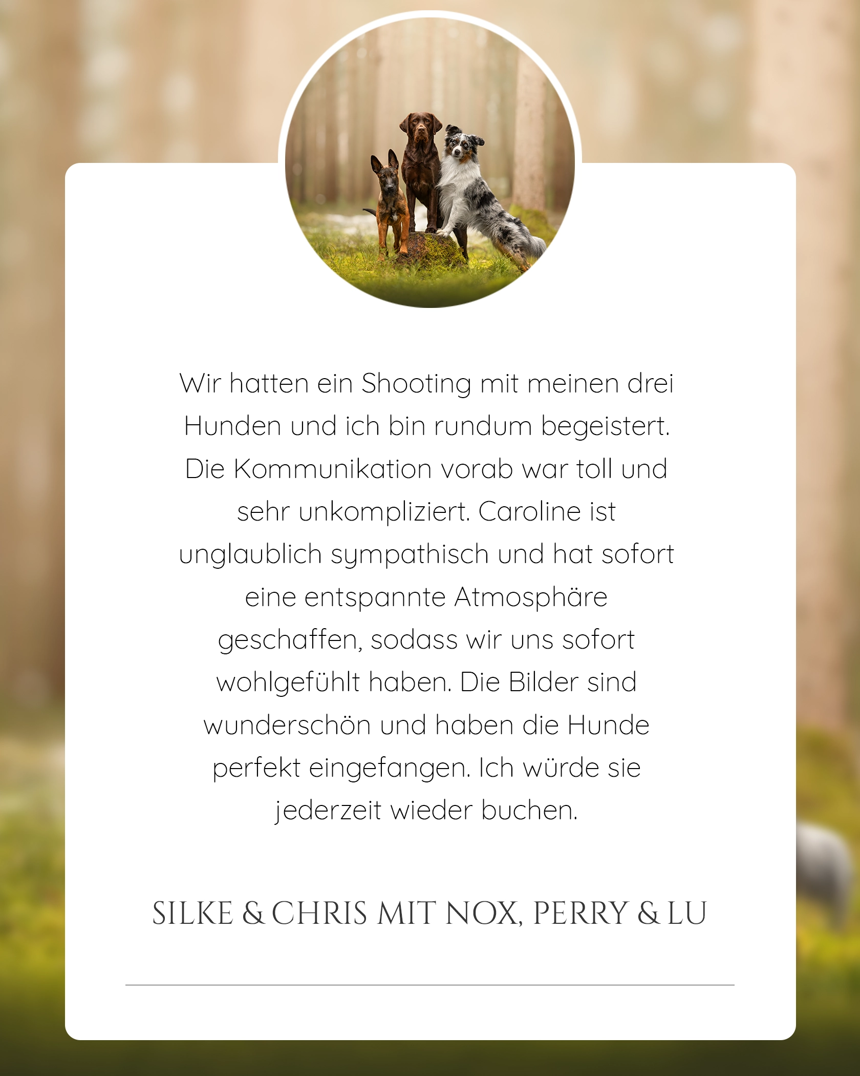 Bergshooting Hund